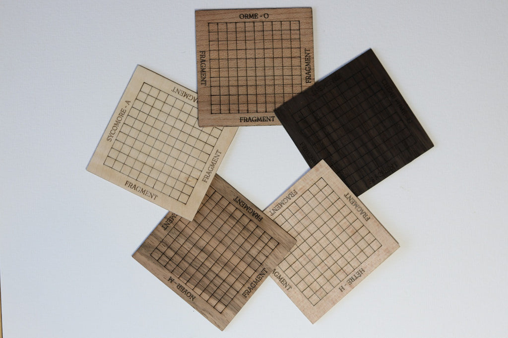Lot de 5 Plaquette de 100 tesselles en bois