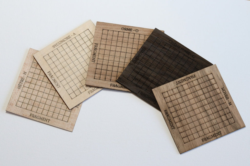 Lot de 5 Plaquette de 100 tesselles en bois