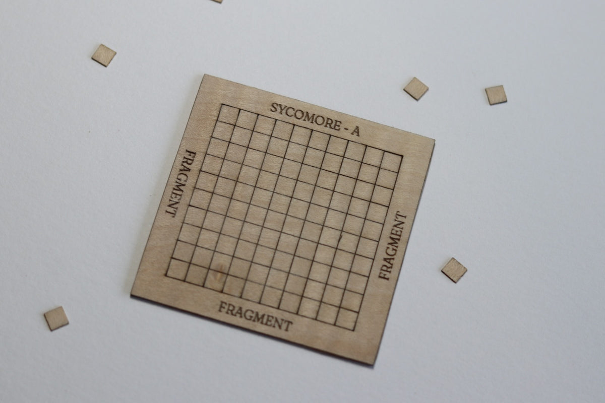 Plaquette de 100 tesselles en bois